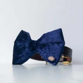 Bobby Dog Bow Tie | Navy Blue Crushed Velvet