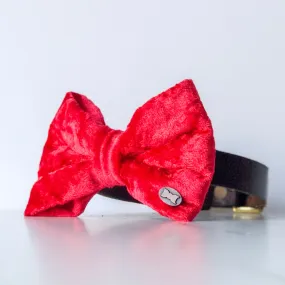 Bold Red Velvet Bow Tie