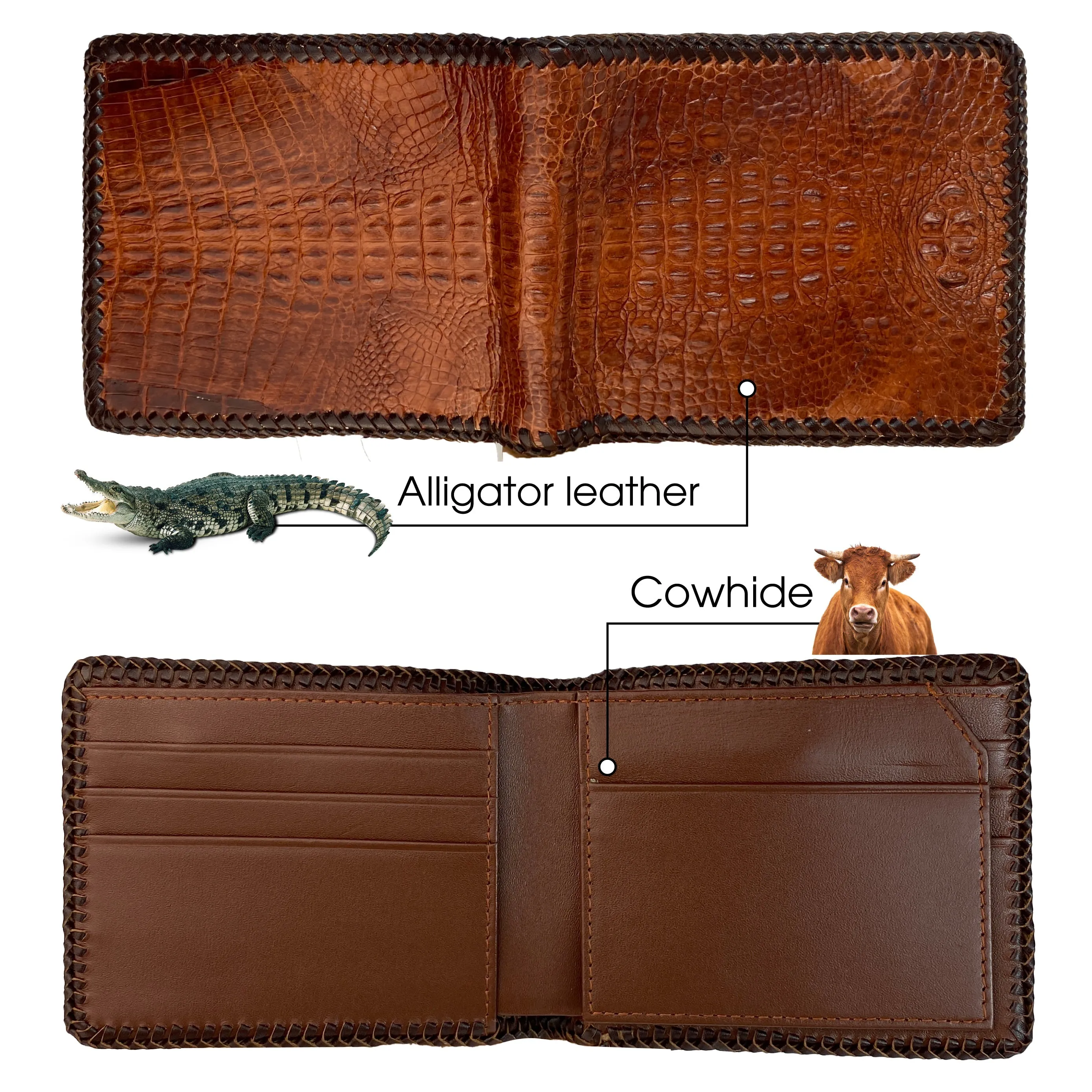 Brown Hornback Alligator Leather Bifold Wallet Knitting Edge | VINAM-01