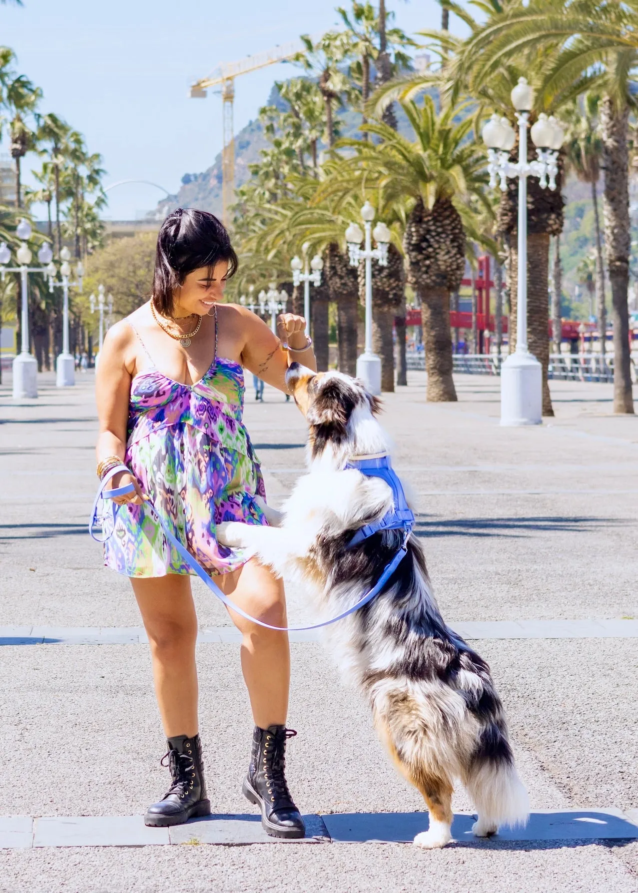 Daydream Blue Dog Poop Bag Dispenser