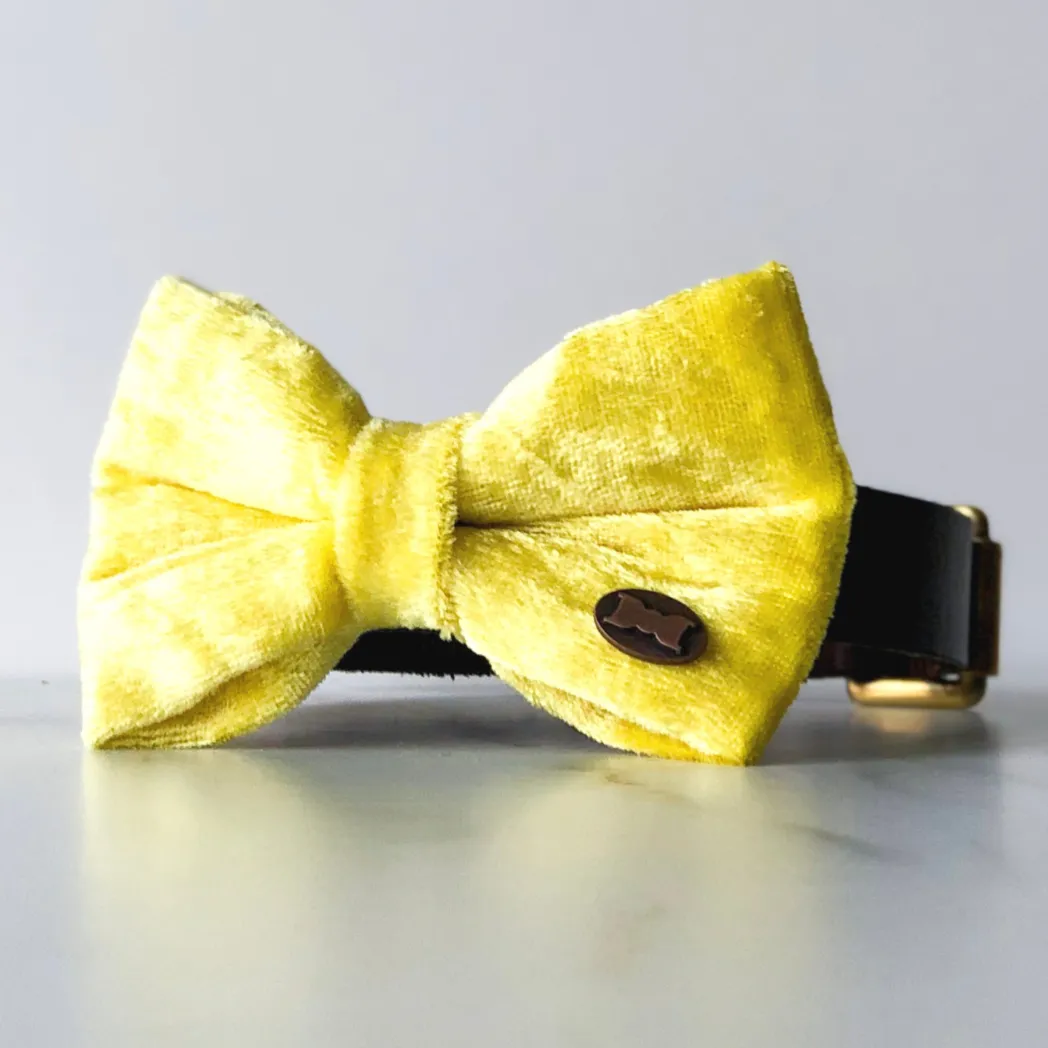 Hello Yellow Velvet Dog Bow Tie