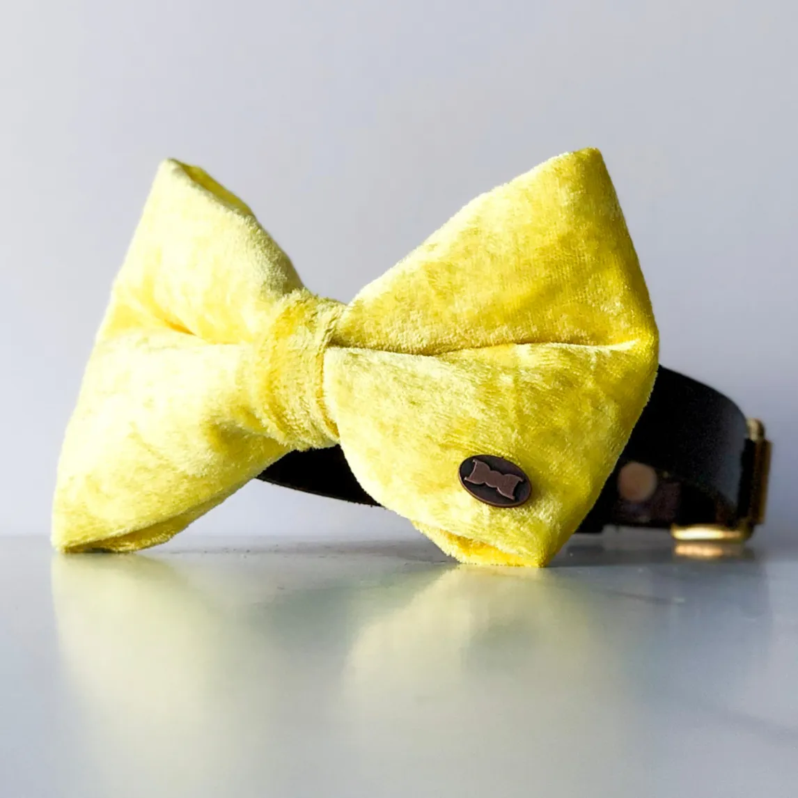 Hello Yellow Velvet Dog Bow Tie