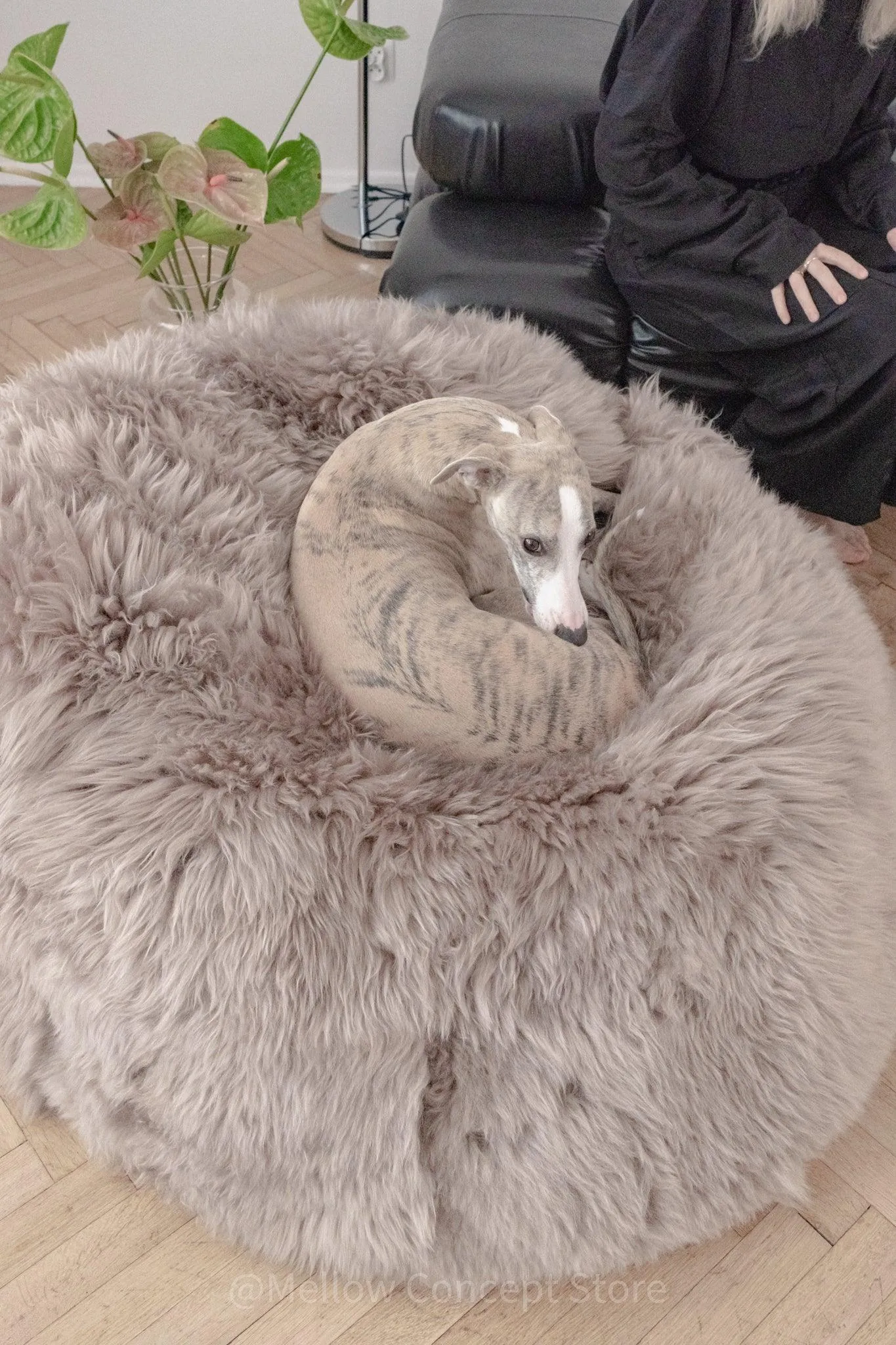 Natural Sheepskin Beanbag - Greige