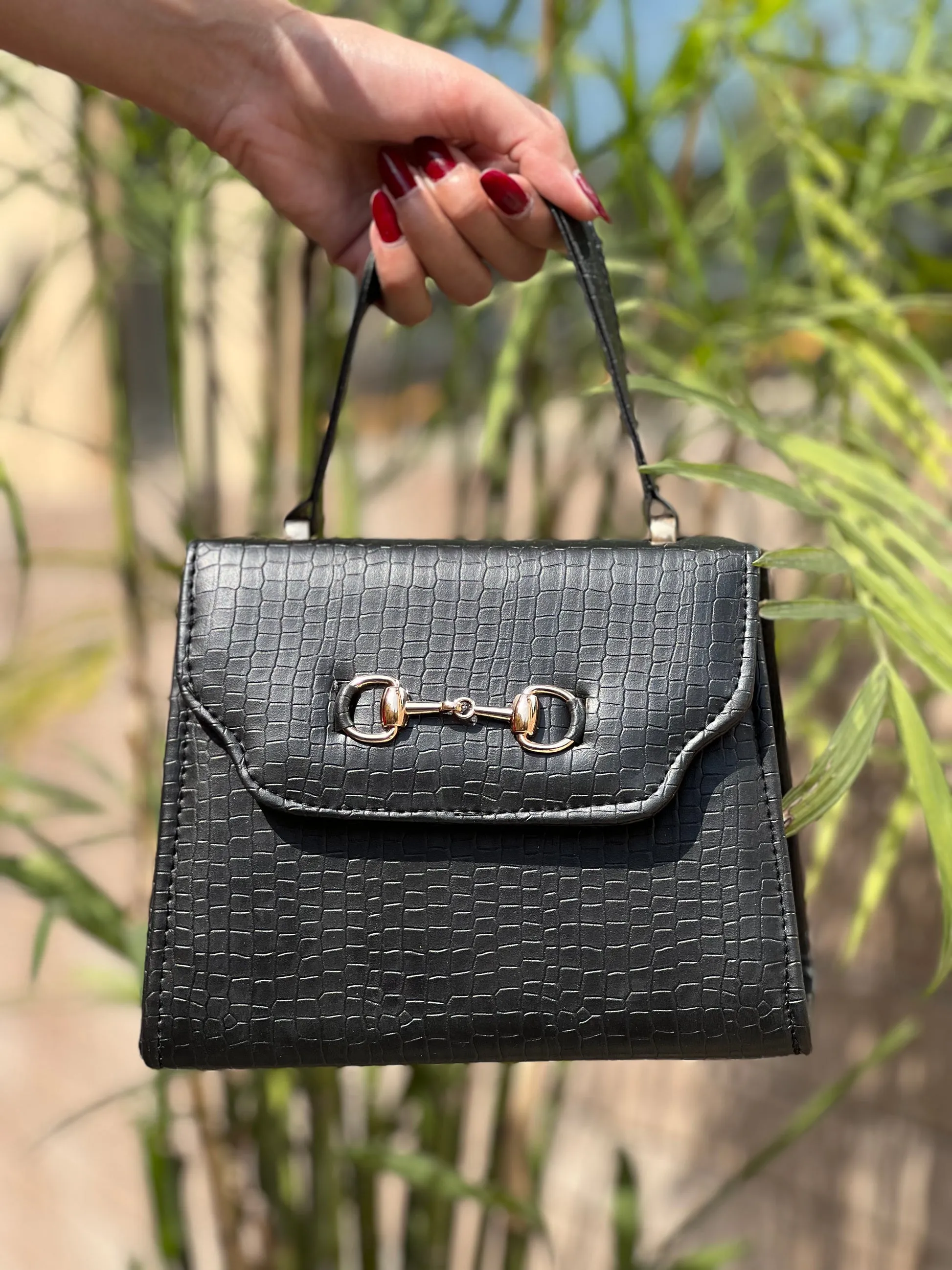 Versatile Amphibian Mini Bag -black color’